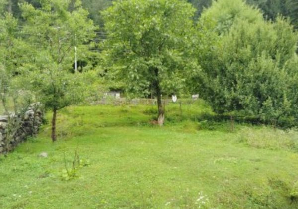Manali plots, manali property dealer, manali land sale