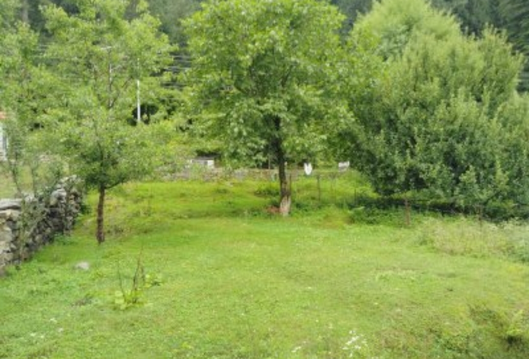Manali plots, manali property dealer, manali land sale