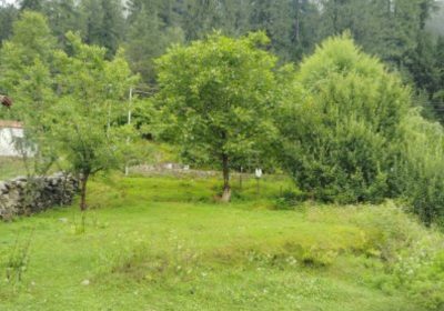 Manali plot for sale, manali plots, manali property dealer