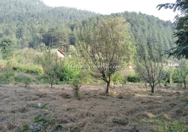 Plot sale, manali plots, plots sale manali, manali property