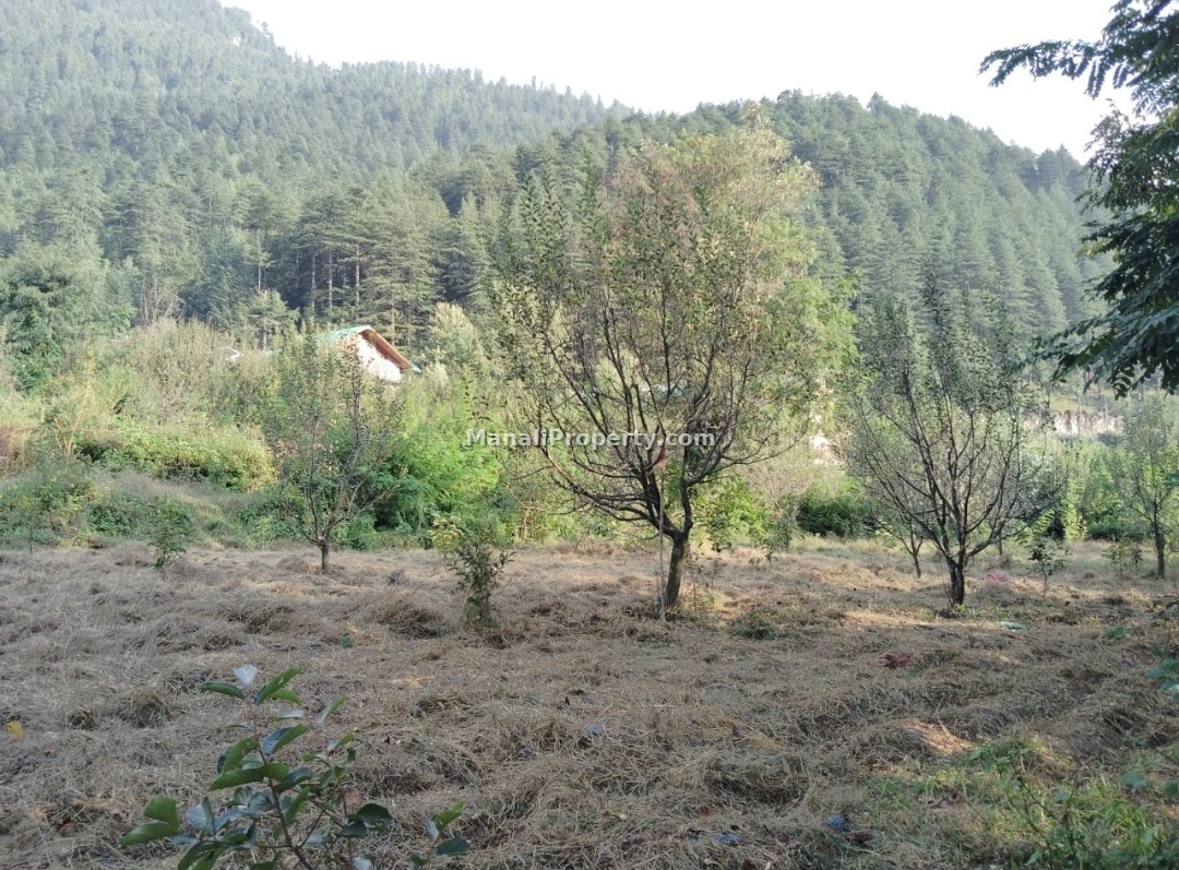 Plot sale, manali plots, plots sale manali, manali property