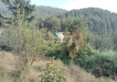 Manali plots, manali property, manali plot sale, manali property dealer, manali plots, property for sale manali